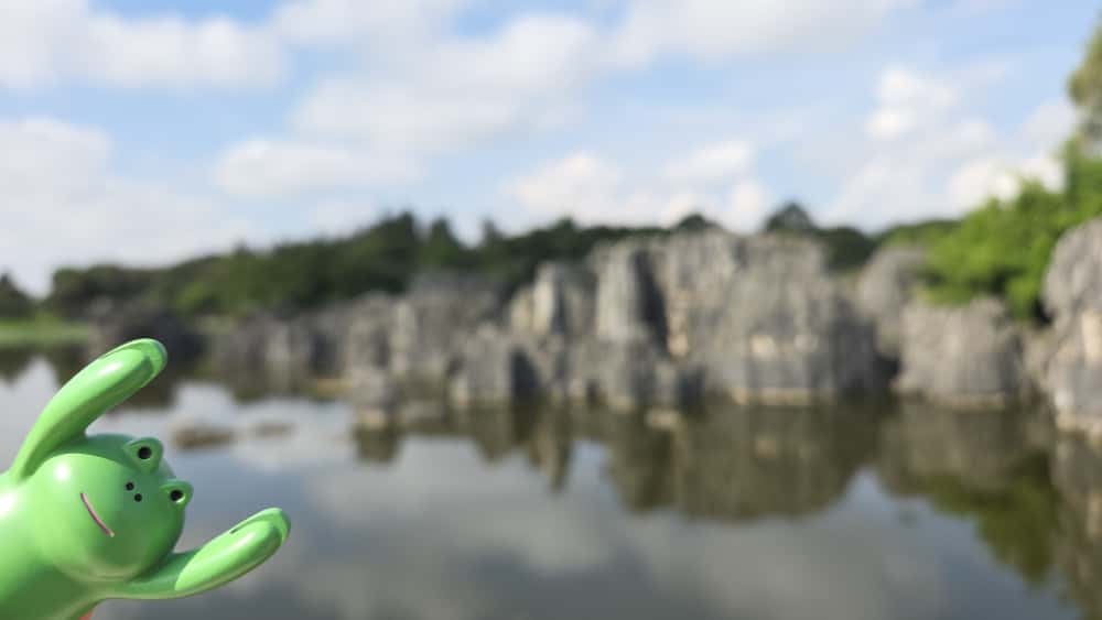 準備好土壤，迎接天主聖言