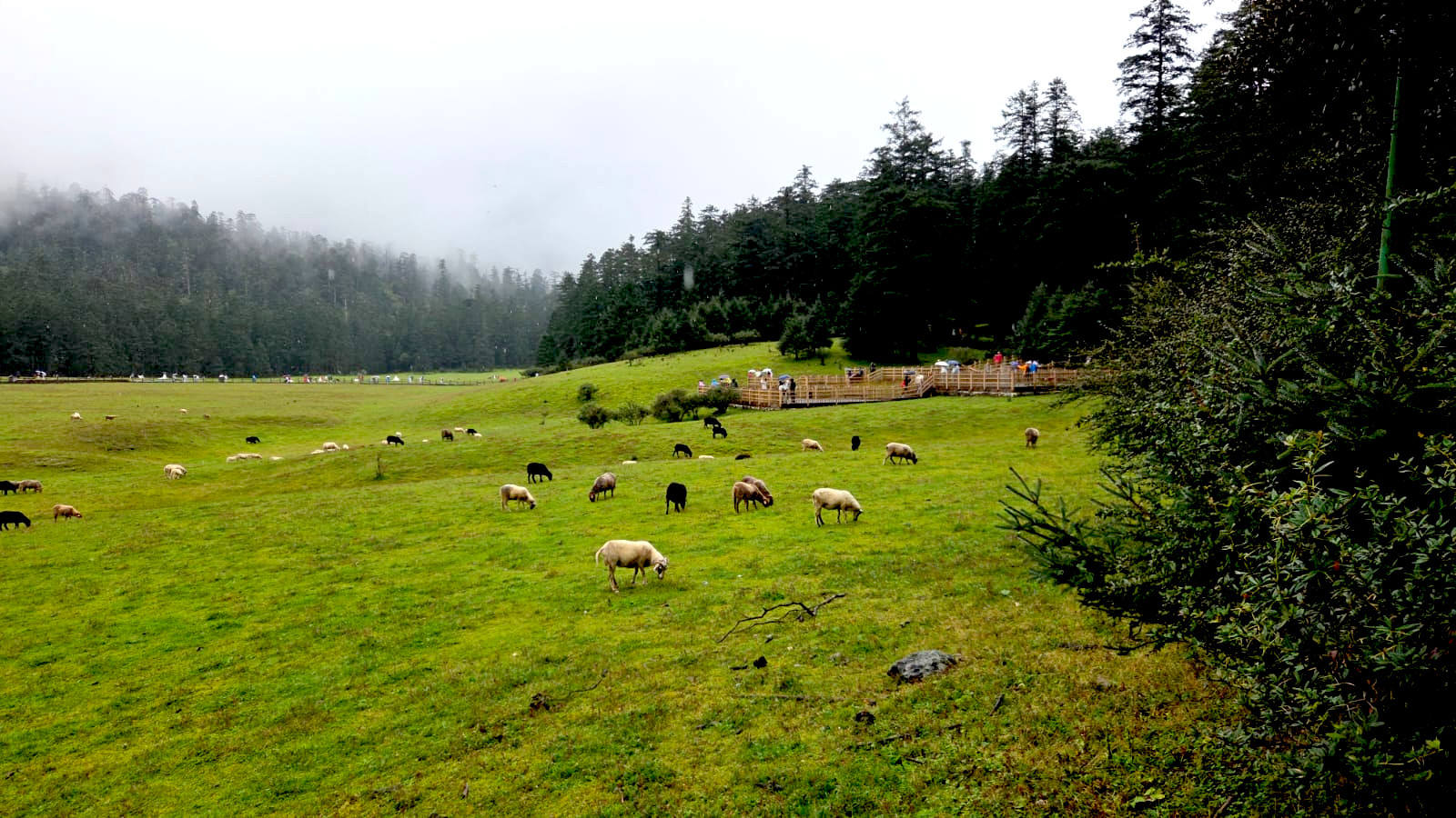 從「選擇題」到「交託」