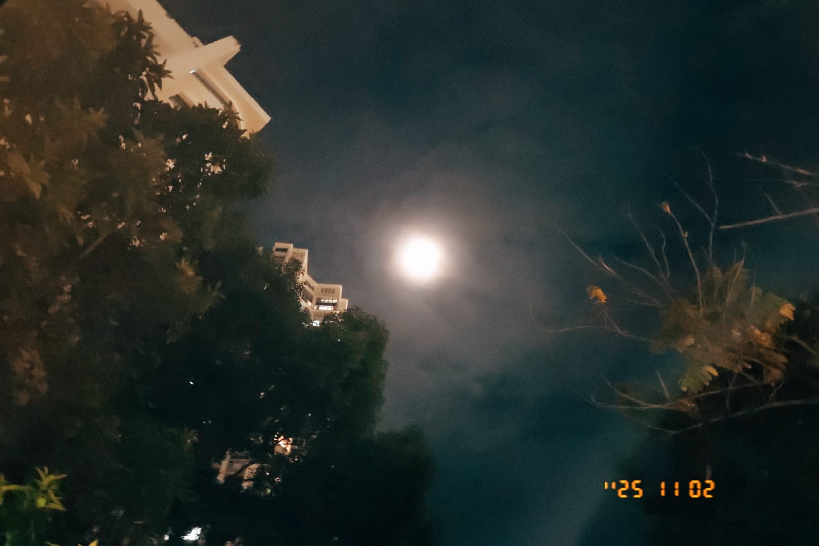 在聖召與服務之間的反思